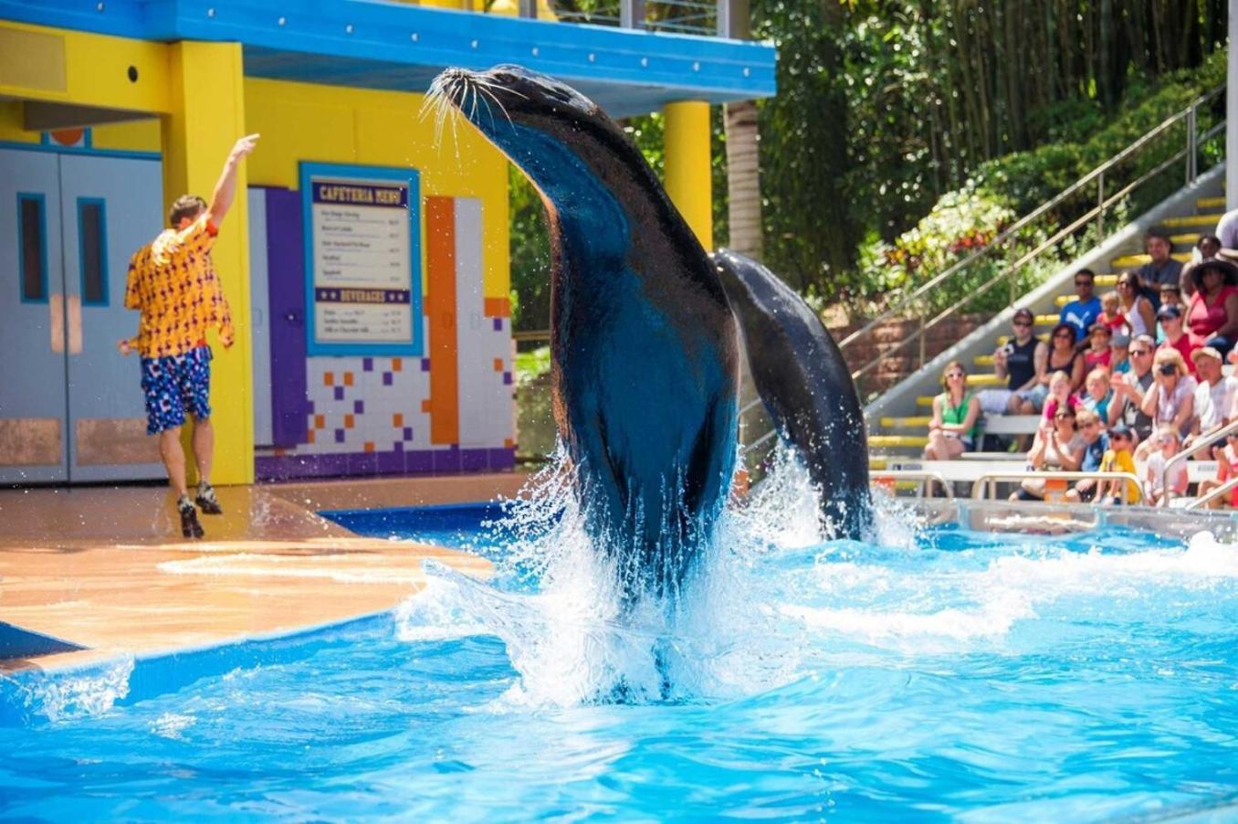 Superb House By Seaworld, Private Pool & Gameroom San Antonio Zewnętrze zdjęcie